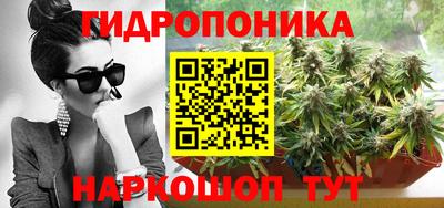 амф Бийск
