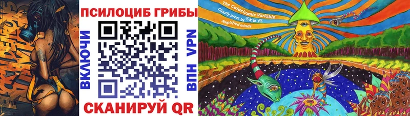 darknet наркотические препараты Новоалтайск Псилоцибиновые грибы Cubensis