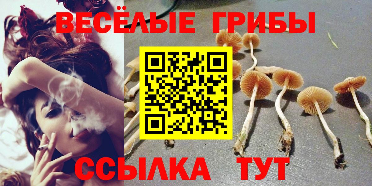 Новоалтайск  Галлюциногенные грибы ЛСД  Вход с VPN 