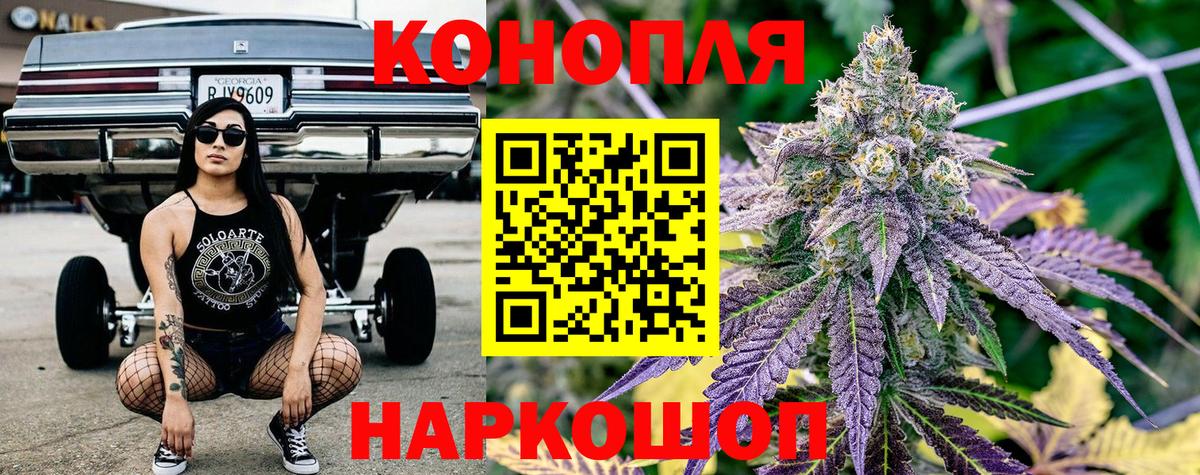 Шишки марихуана семена  Вход с VPN  Новоалтайск  Марихуана White Widow  Канабис Amnesia  МАРИХУАНА LSD WEED 
